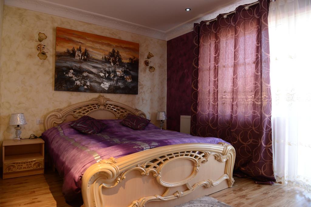 Vila Perla Sapanteana Săpînţa Habitación foto