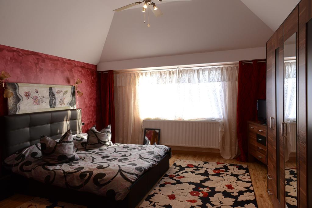Vila Perla Sapanteana Săpînţa Habitación foto
